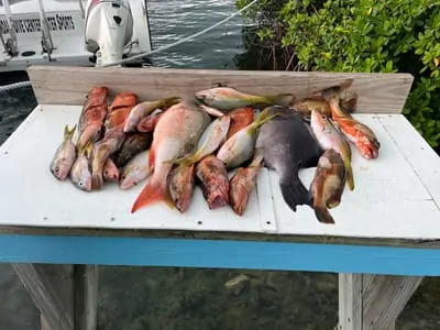Fishing experience
