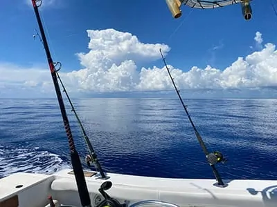 Snook catch